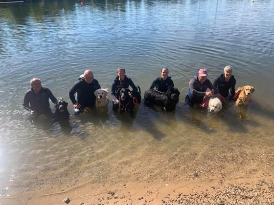 Conducteurs et chiens dans l'eau