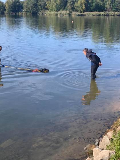 Chien à la nage vers son conducteur