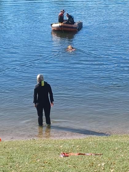 Conducteur au bord de l'eau, chien en approche