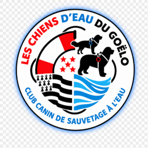 Les Chiens d'eau du Goëlo