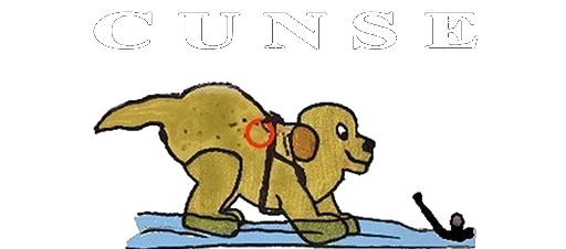 cunse.org