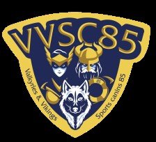 VVSC85