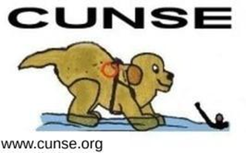 cunse.org